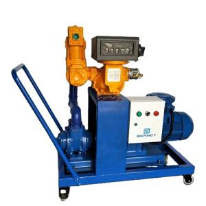 Wholesale Bernet Brand Mobile Diesel Pump For Fuel Dispenser Transfer 2.2kw from china suppliers