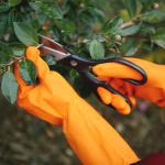 Excellent Grip Durable Garden Gloves Tear Resistant Kitchen Rubber Gloves