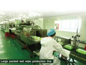 Wholesale 37 Years History ISO Certificated Wet Wipes Supplier One Stop Service from china suppliers