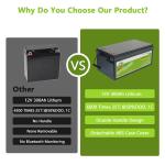 OEM 300ah 12V LiFePO4 Battery Travel Caravan Battery Pack Wireless Charging