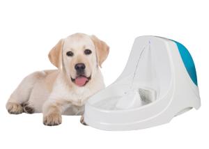 Wholesale 3V 0.06W 3.6 Liter Cat Water Drinking Fountain BPA Free Plastic Material from china suppliers