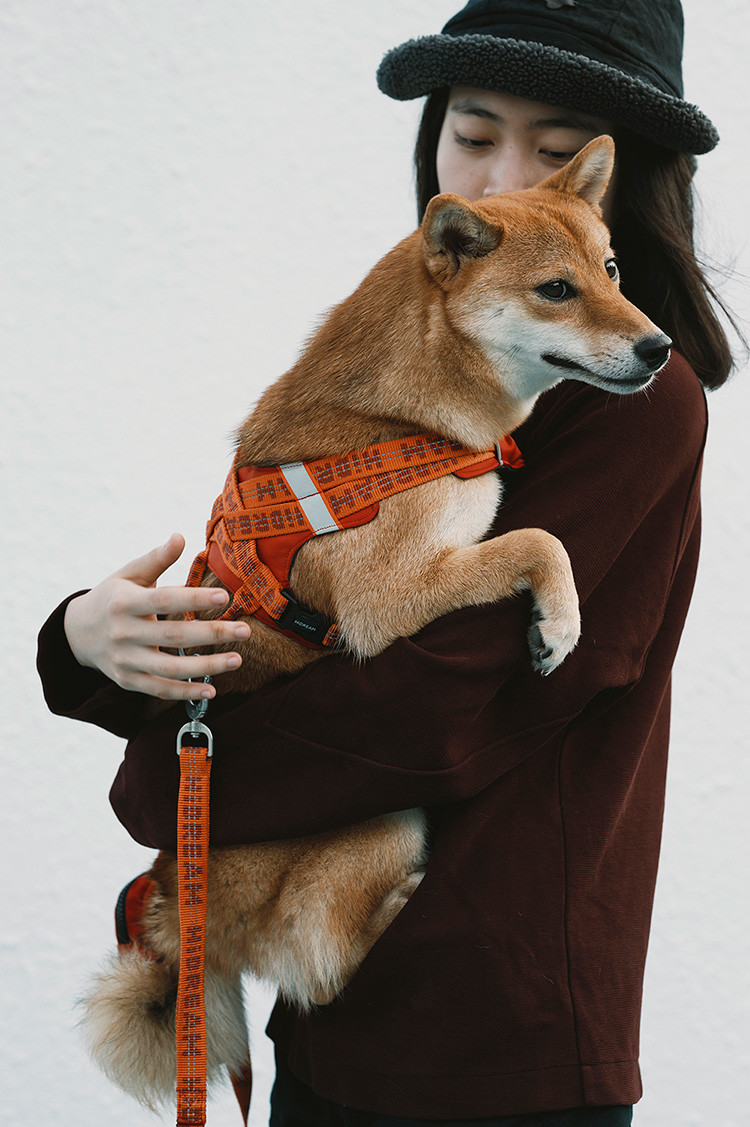 Orange Elastic Reversible Dog Harness Jacket Vest With Patches Padded Handle