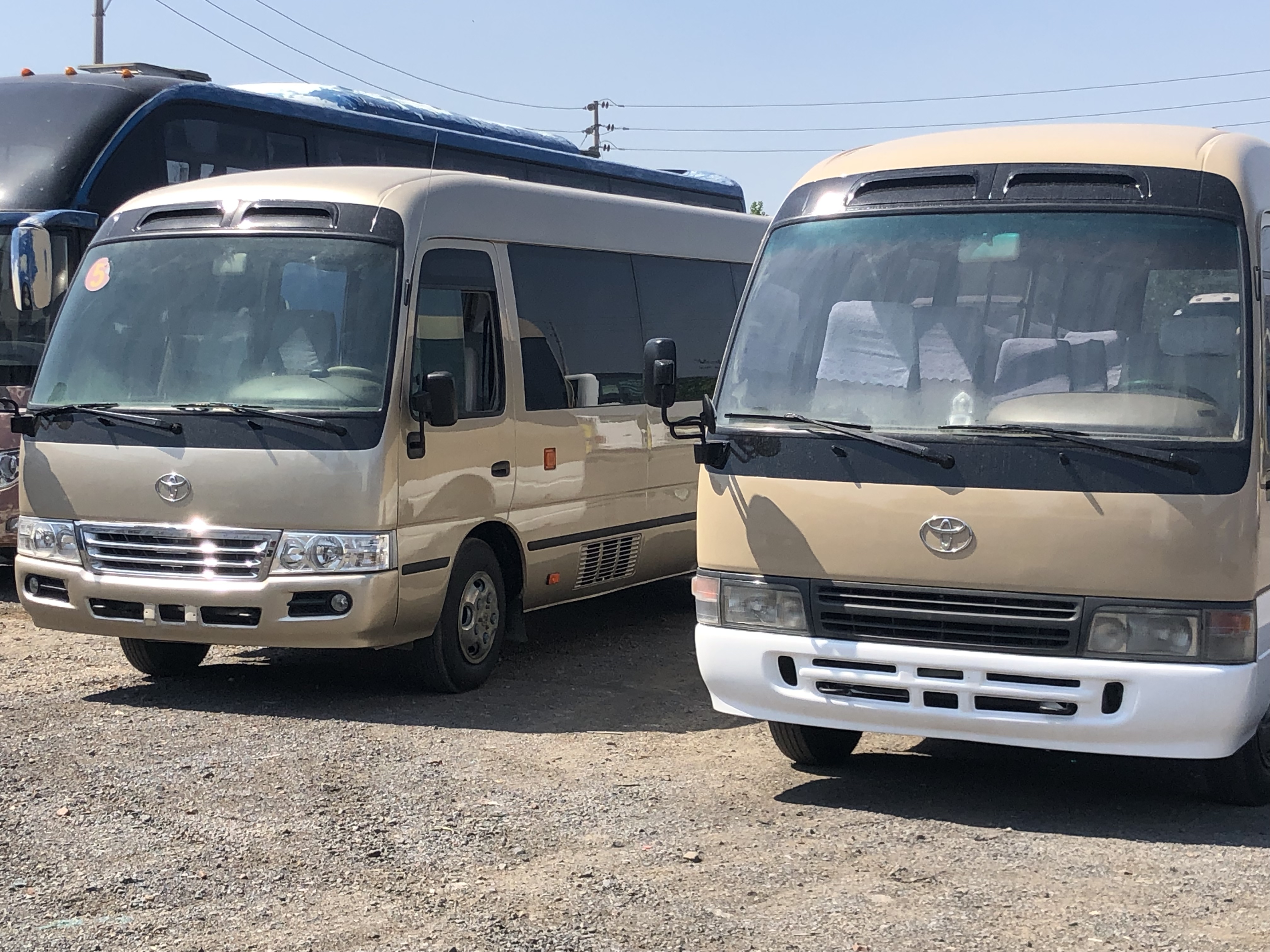 1690/1490mm Front/Rear Track High Roof Coaster Bus with 23 6 Seats and Diesel Engine