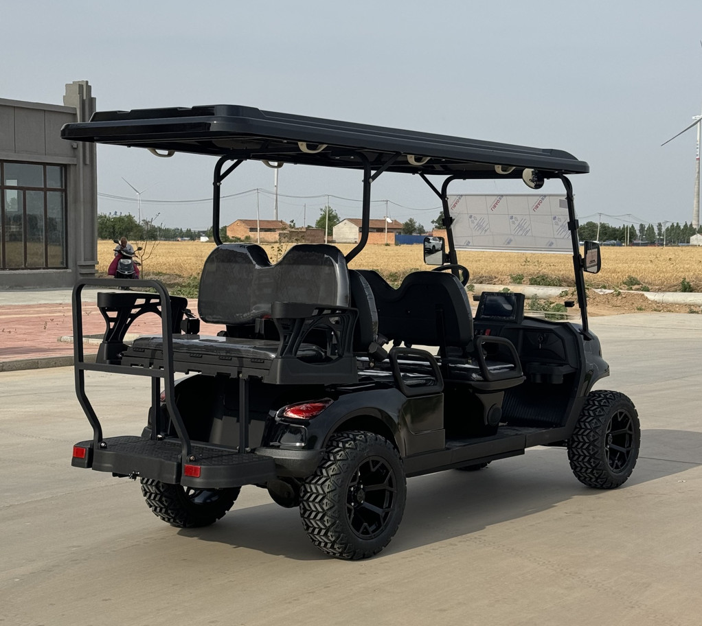 Personal Customized 4+2 Seater Electric Golf Cart Optional Lithium Battery Golf Trolley