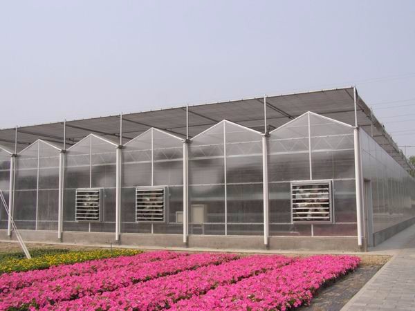 Ventilation Vents for Optimal Growth of Tomatoes and Other Vegetables in Greenhouse