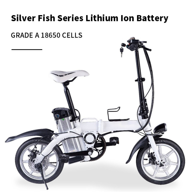 Sliver Fish Lithium Ion Electric Bicycle Battery Pack 48V 20AH Ebike Battery