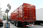 Transport Logistics 6x4 371hp Euro II Howo Cargo Truck