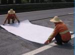Non Woven Thermal Bonding Polyester Geotextiles for Highway Tunnel Construction