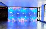 Outdoor Transparent Led Film Display Heavy Duty Customizable
