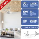 3 ABS Plastic Blades DCF-FS52920 DC Motor Ceiling Fan Natural Wind