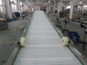 Wholesale Series Belt Chain Flight Conveyor from china suppliers