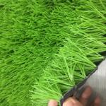Fire Retardant Artificial Grass Soccer Field / Plastic Fake Grass Football Field