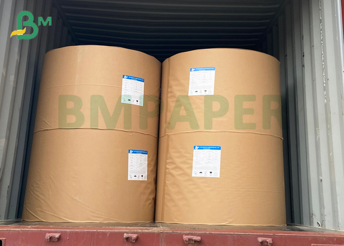 Gloss coated cover paper