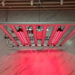 650W Horticulture LED Grow Light Osram 660nm 730nm Seoul UV 385nm 395nm