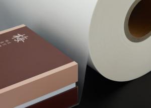 Wholesale Transparent Adhesive BOPP Velvet feeling Soft-Touch Thermal Lamination Film Roll from china suppliers