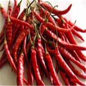 Wholesale No Pigment Erjingtiao Dried Chilis 16CM Red Stemmed Dehydrating 8000SHU from china suppliers