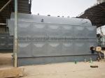 Hot Biomass Briquette Fuel Boiler Industrial Biomass Chain Grate Steam Boiler