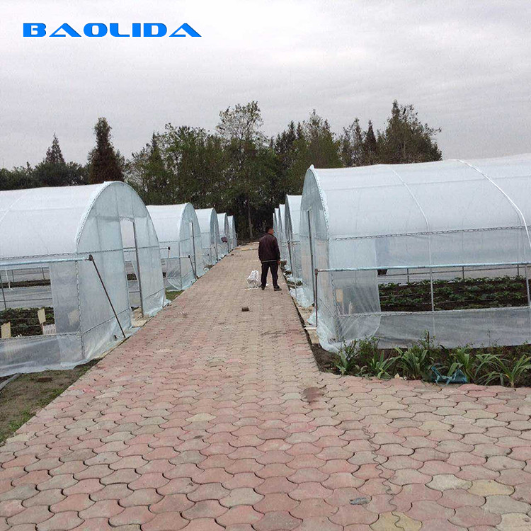 Tropical Plastic Film Cross Top Sawtooth Greenhouse Single Span Tunnel Plastic Greenhouse