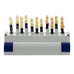 Wholesale 29 Colors Dental Lab Tools 3 D Resin Teeth Shade Guide Dental Teeth Color Compare from china suppliers