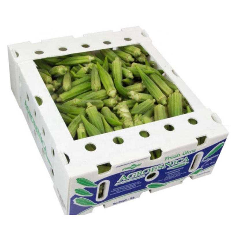Spinach Corrugated Plastic Produce Boxes 2mm Corflute Storage Boxes