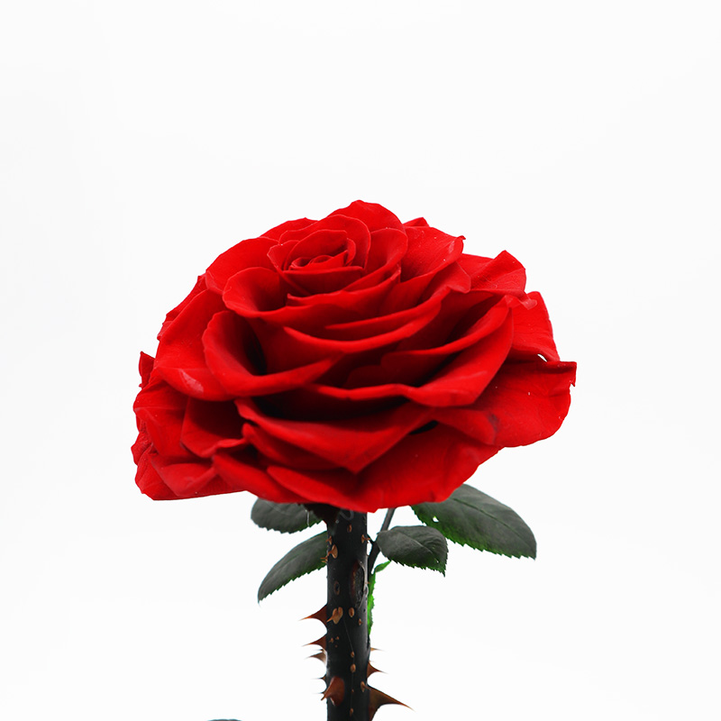 Preserved 14*14*22CM Long Stem Glass Roses For Wedding