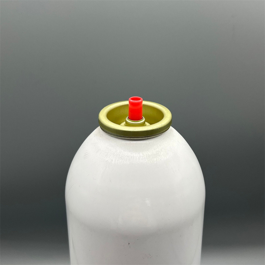 Versatile Fire Extinguisher Valve Fittings - Multi - Functionality for Different Systems