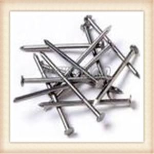 Wholesale high quality polish common nails from china suppliers