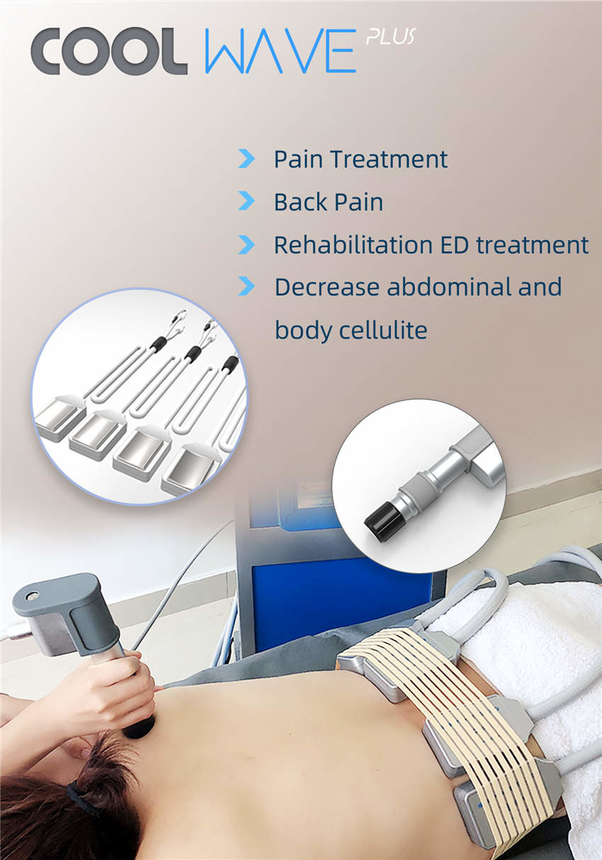 2 In 1 Type Portable Cryolipolysis Machine , Weight Loss Therapy Machine