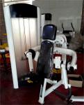 Commercial and Home Gym Fitness Equipment Steel Pin-Loaded Bicep Machine for