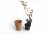 LFGB Custom Cork Plant Pots Eco Friendly Recycled Biodegradable
