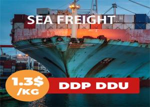 Wholesale China To India LCL Ocean Shipping from china suppliers