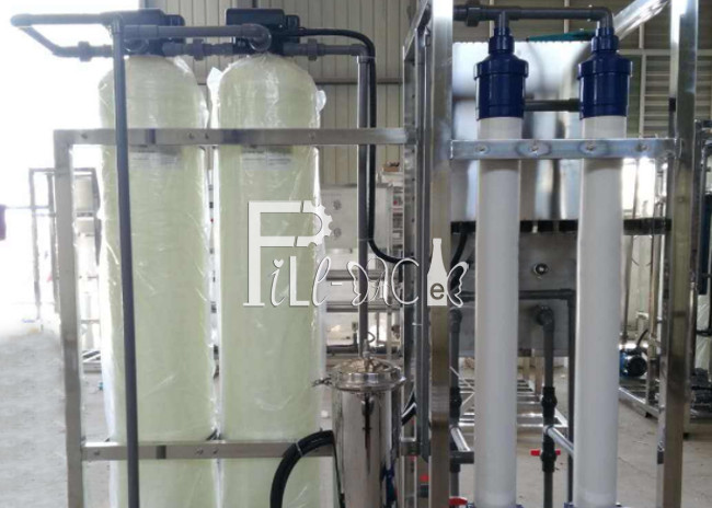 Monoblock 1000 LPH Mineral Water Plant