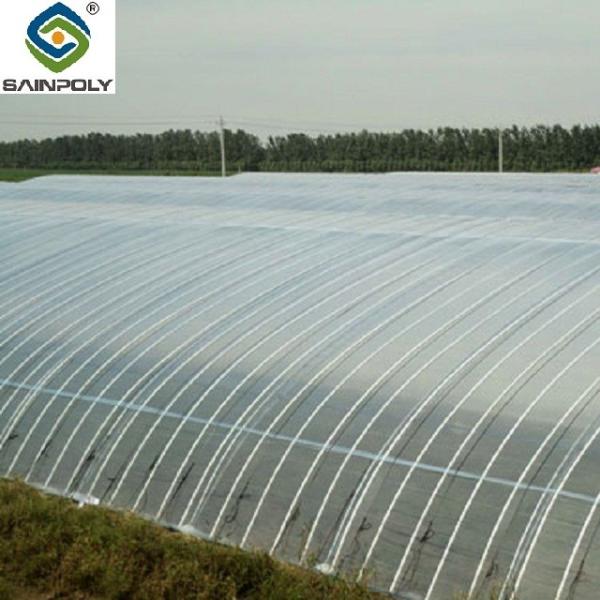 Sainpoly Multi Span Greenhouse Agricultural / Commercial / Industrial Plastic