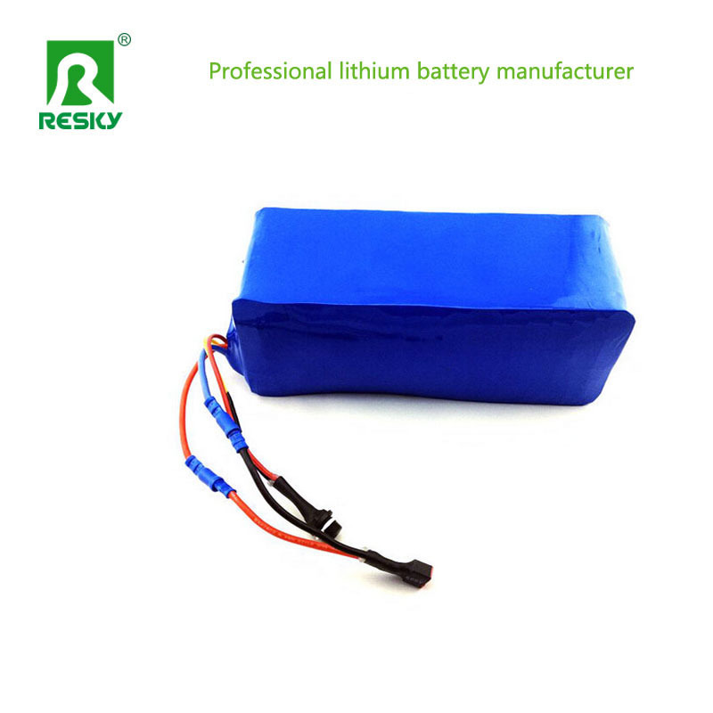 Rechargeable Electric Bike Battery 48V 8.8ah 350W E Scooter Lithium Battery Pack