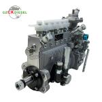 Fuel Injection Pump 13053063 13053062 13022616 B6AD548G-R BH6PN120R For WP4 WP6