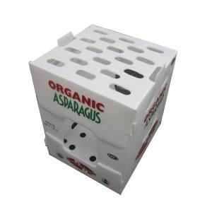 Wholesale Multicolored Fresh Vegetable Corrugated Boxes 3mm Corrugated PP Box from china suppliers