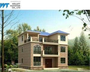 Wholesale 320 / 400Kg Home Passenger Lifts , Energy Saving Elevators For Villas Speed 0.4 M/s from china suppliers