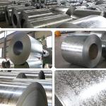 Hot Dipped Galvanized Steel Coil Dx51d Dx52D Dx53D G350 G450 G550 1000mm 1200mm