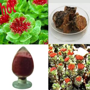 Wholesale Natural Rhodiola Rosea Extract 3%-5% Rosavins 1%-3% Salidroside from china suppliers