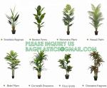 Artificial Trees Tall Faux Money Tree Big Fake Floor Plants Silk Trees Indoor