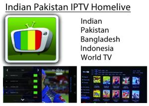 Wholesale Homelive apk iptv Indian Pakistan Bangladesh world tv channels and Bolly-tube VOD movie stable for android smart tv box from china suppliers