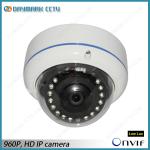 1.3 Megapixel Outdoor Dome IP Camera Privacy Mask