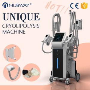 Wholesale CE Approved RF Ultrasonic Kryolipolyse Fat Freeze Lipo Cavitation Machine Price from china suppliers