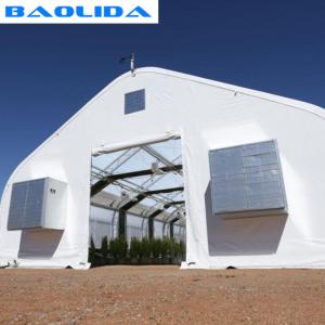 Wholesale Sides Ventilation Light Deprivation Greenhouse Hot Dip Galvanized from china suppliers