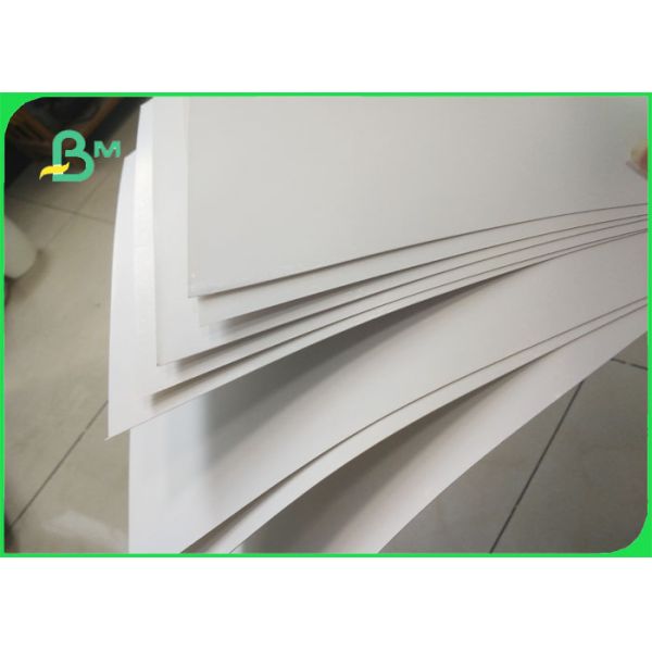 Premium C1S Ivory Board Paper / C1s Ivory Board For Pizza Box Making