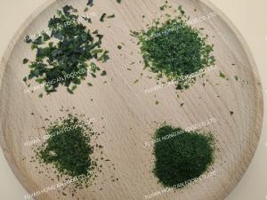 Wholesale Crispy Umami Ulva Ao Nori Dried Green Seaweed 10kg Bag With HACCP Certification from china suppliers