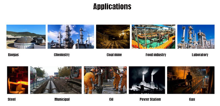 Dlas in-Situ Prob Environment Control Industrial Gas Emission Analysis Laser Gas Analyzer Test Machine