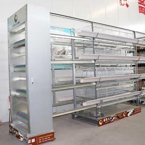 Wholesale High Laying Rate Layer Chicken Cage 195cm Long Less Disability 44 - 69kg Weight from china suppliers
