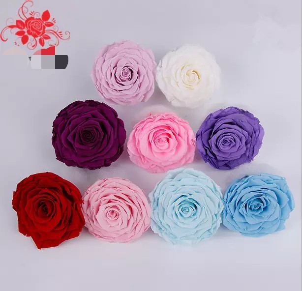 9-10cm Dried Preserved Flower Roses Forever Gift for Birthday Valentines Christmas Day 1pcs/box