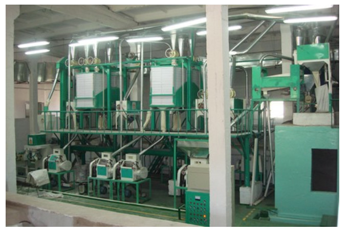 New Design Fresh Noodle Machine For Sale/Wet Ramen Noodle Making Machine